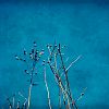 View the image: Colour Wash 1